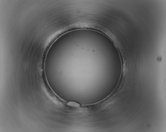 X0000111940438200907271416