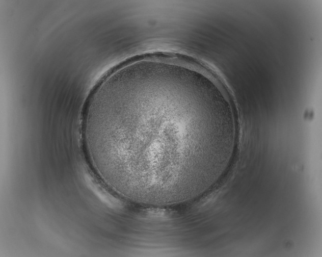 X0000111940439200907271416