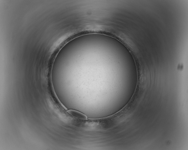 X0000111940440200907271416