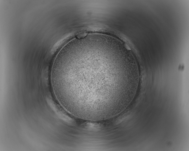 X0000111940442200907271416