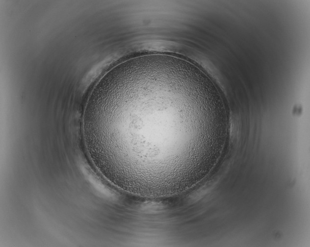 X0000111940445200907271416