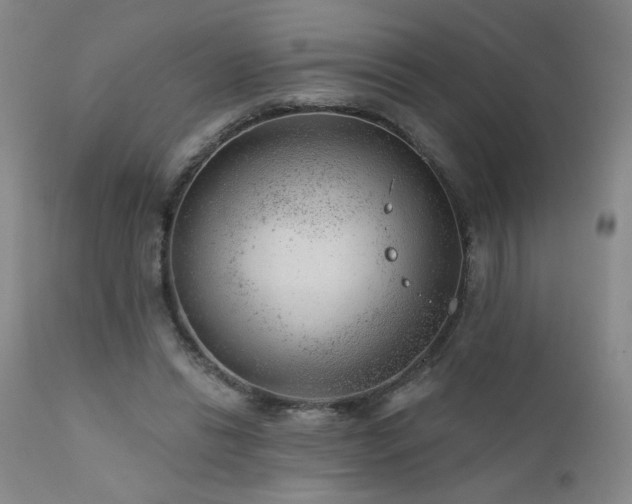 X0000111940446200907271416