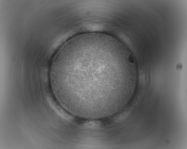 X0000111940447200907271417