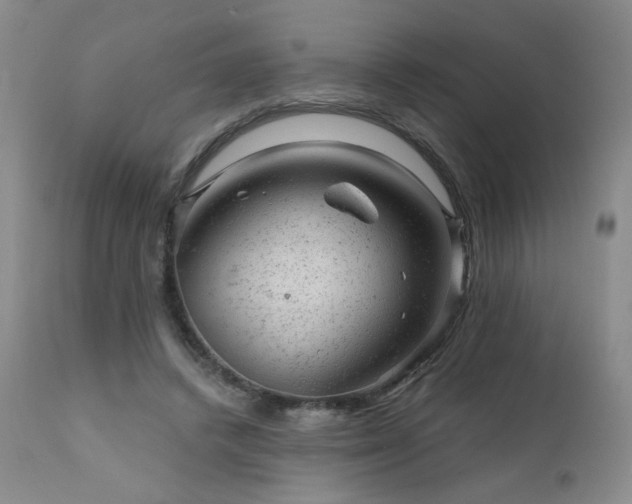 X0000111940448200907271417