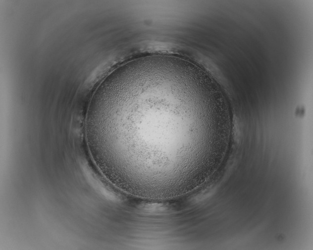 X0000111940449200907271417