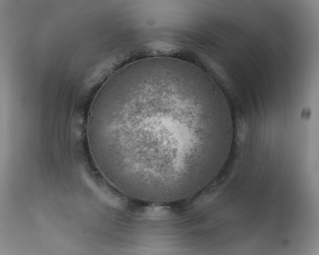 X0000111940451200907271417