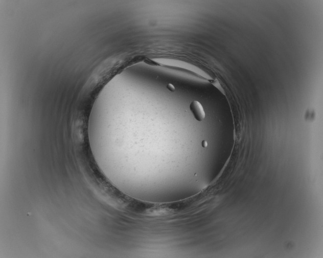 X0000111940452200907271417