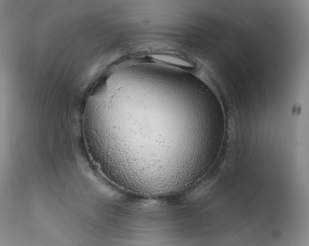 X0000111940453200907271417