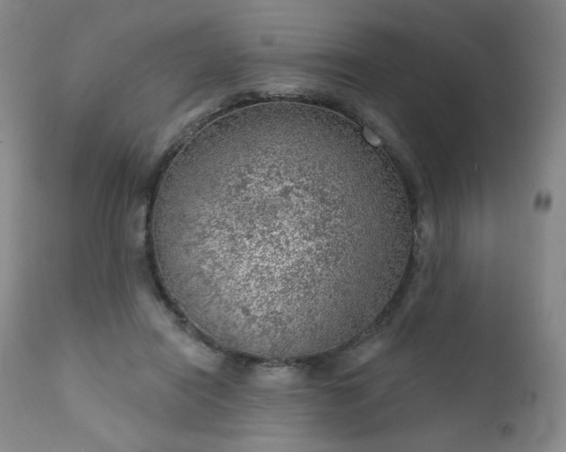 X0000111940454200907271417