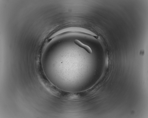 X0000111940456200907271417