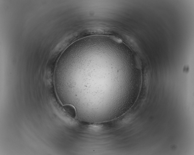 X0000111940457200907271417