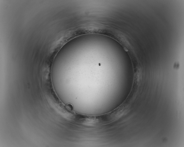 X0000111940458200907271417