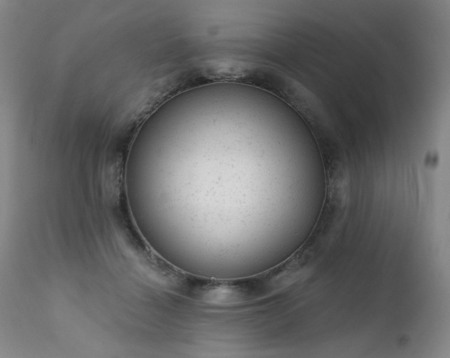 X0000111940460200907271417