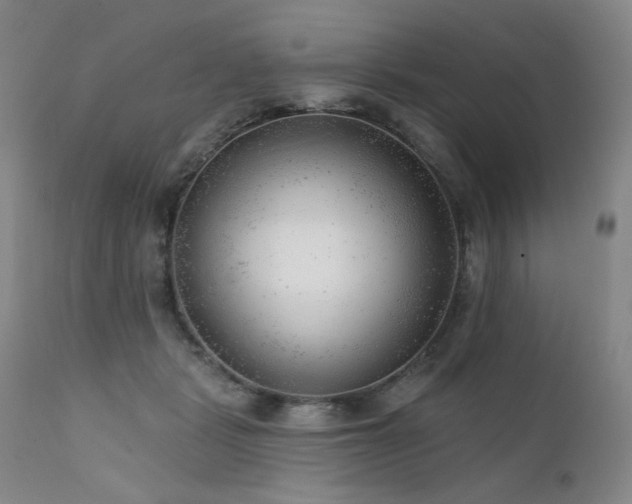 X0000111940461200907271417