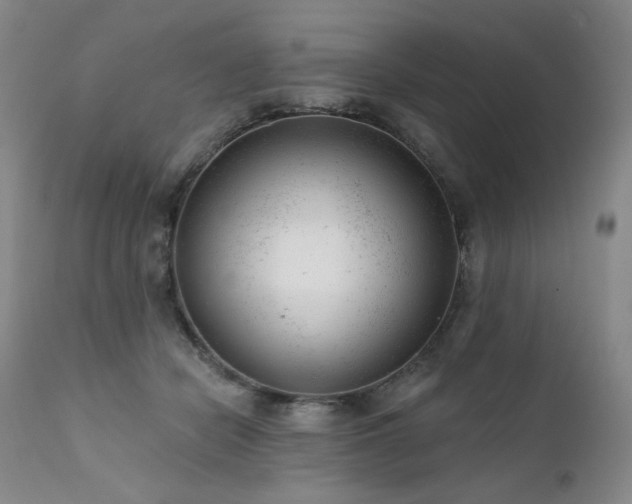 X0000111940462200907271417