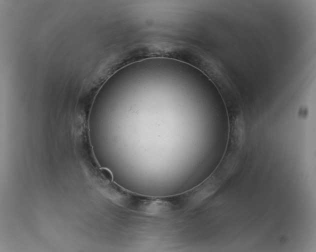 X0000111940463200907271417