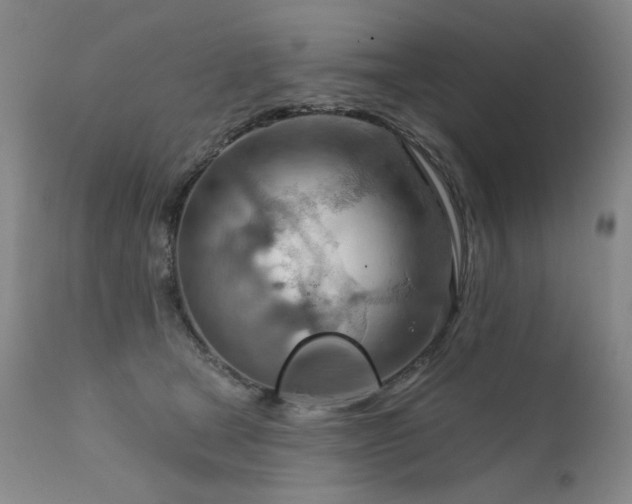 X0000111940465200907271417