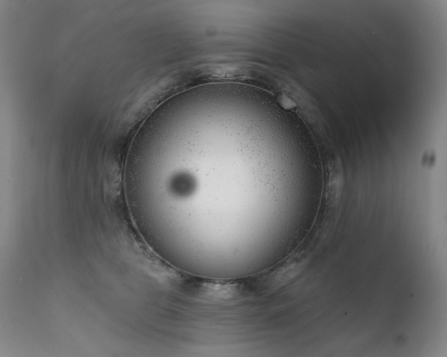 X0000111940469200907271417