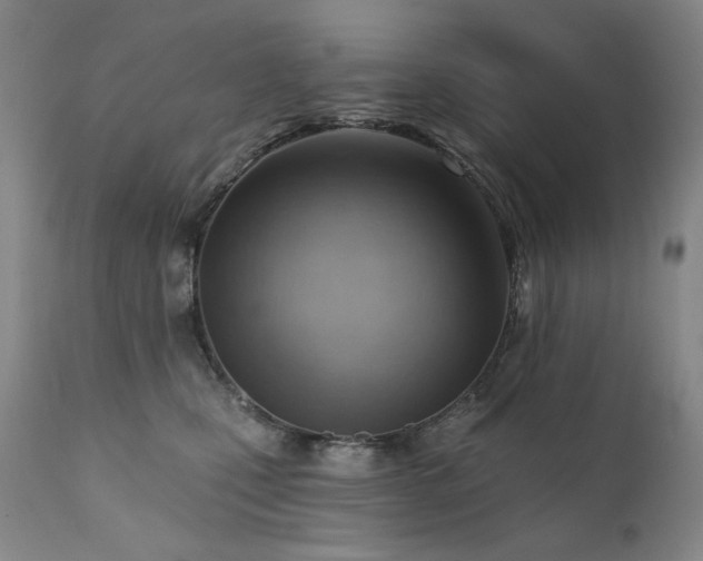 X0000111940471200907271417