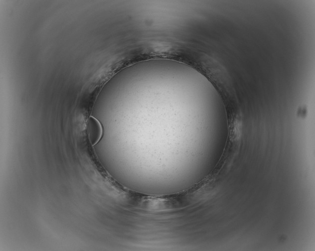 X0000111940472200907271417