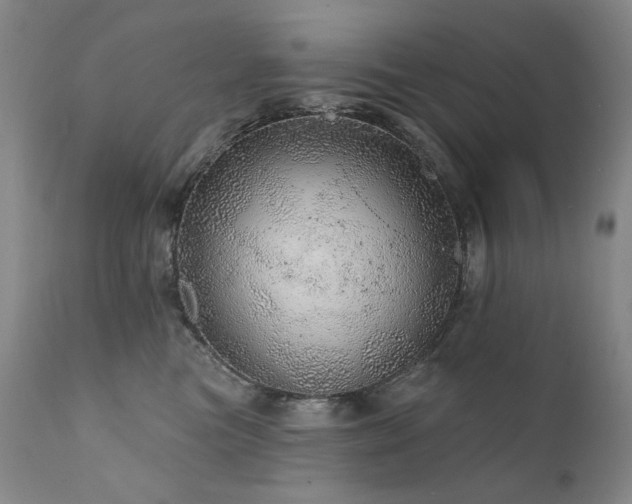 X0000111940473200907271417