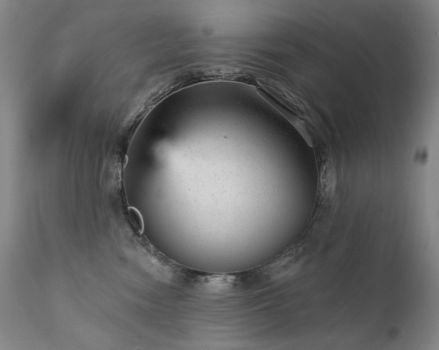 X0000111940474200907271417