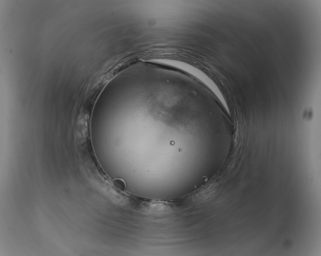 X0000111940475200907271417