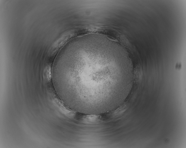 X0000111940479200907271417