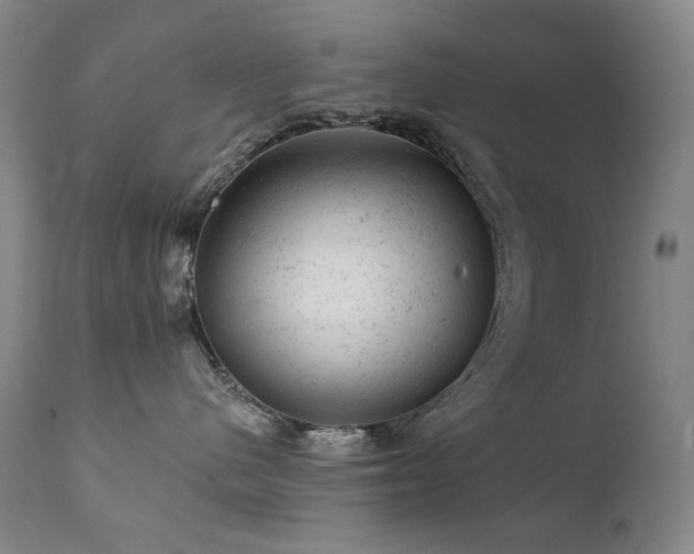 X0000111940480200907271417