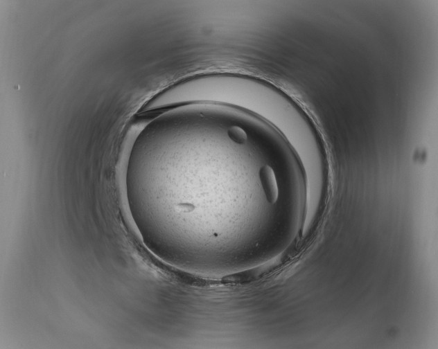 X0000111940481200907271416