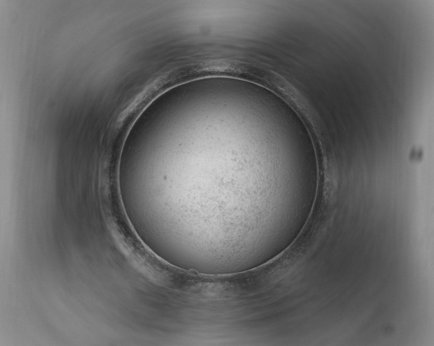 X0000111940482200907271416