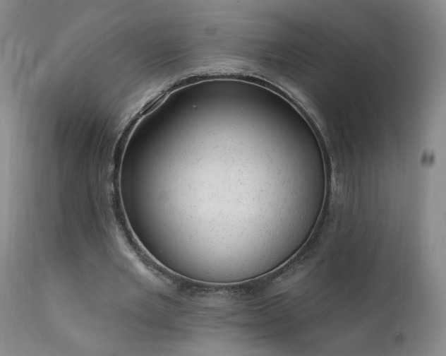 X0000111940485200907271416