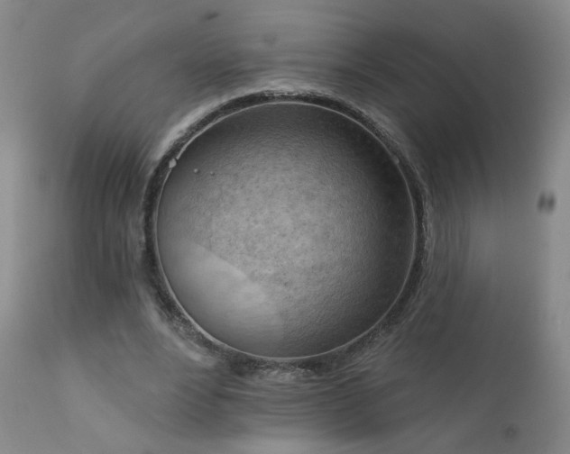 X0000111940488200907271416