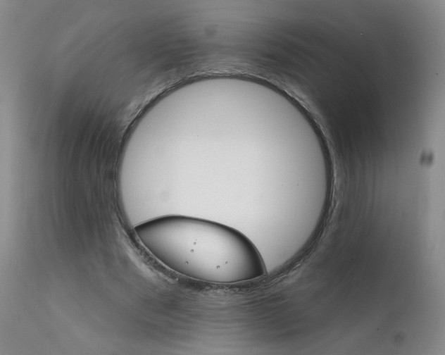 X0000111940489200907271416