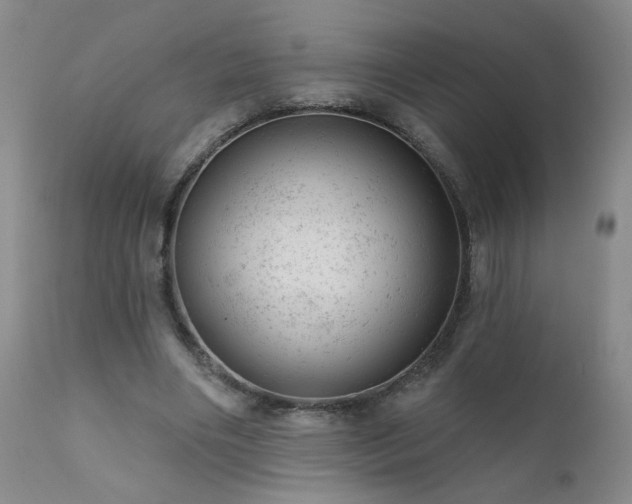 X0000111940490200907271416