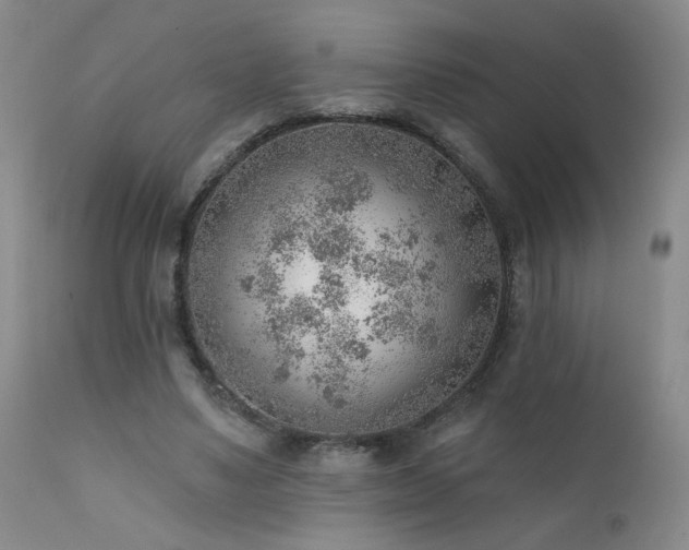 X0000111940491200907271416