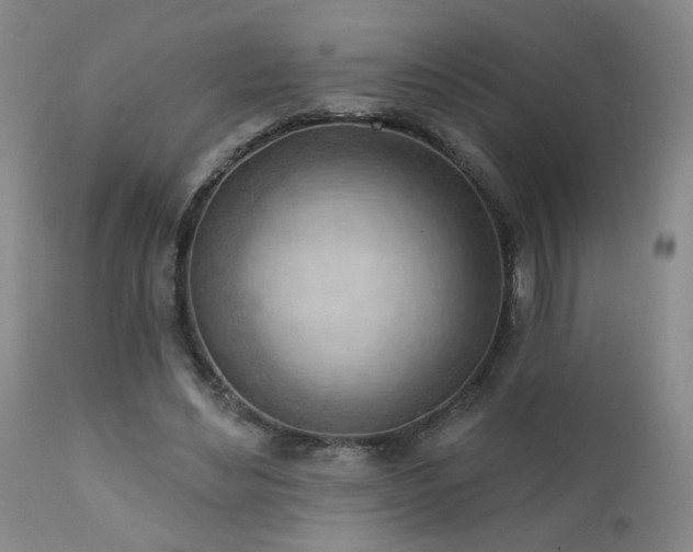 X0000111940492200907271416