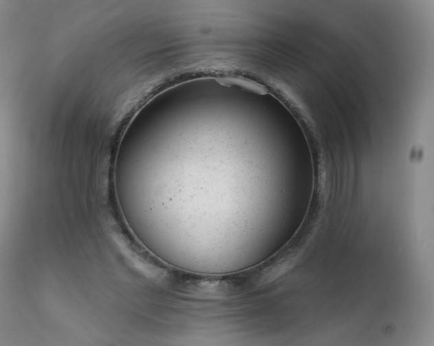 X0000111940493200907271416