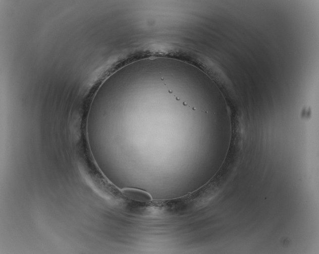 X0000111940496200907271416