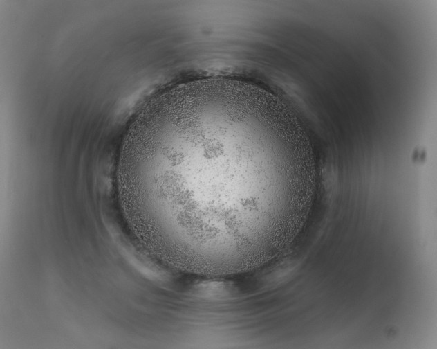 X0000111940499200907271416