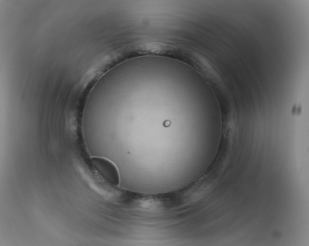 X0000111940500200907271416