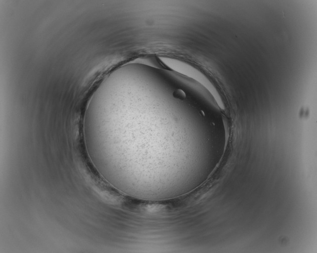 X0000111940501200907271416