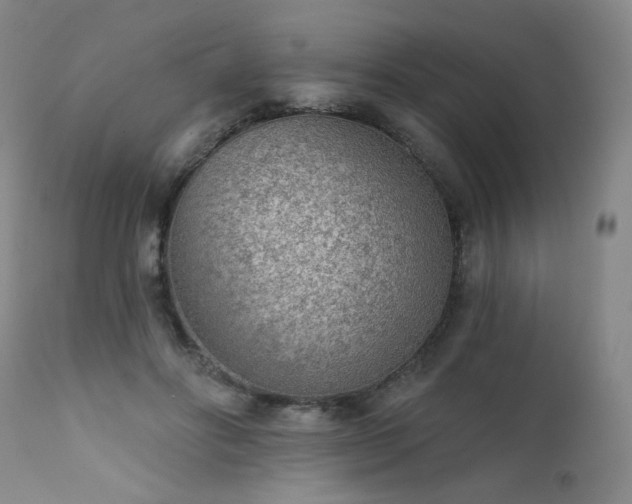 X0000111940502200907271416