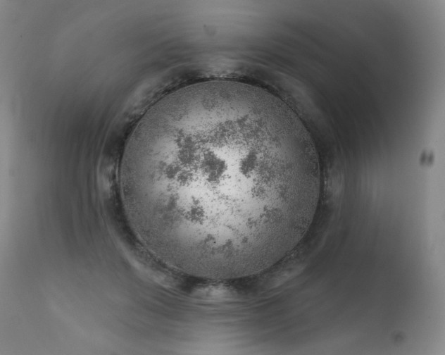 X0000111940503200907271416