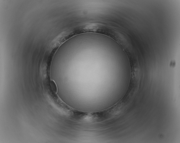 X0000111940504200907271416