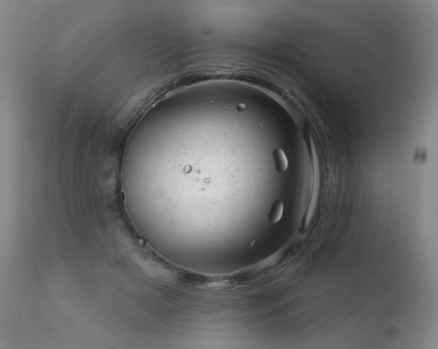 X0000111940505200907271416