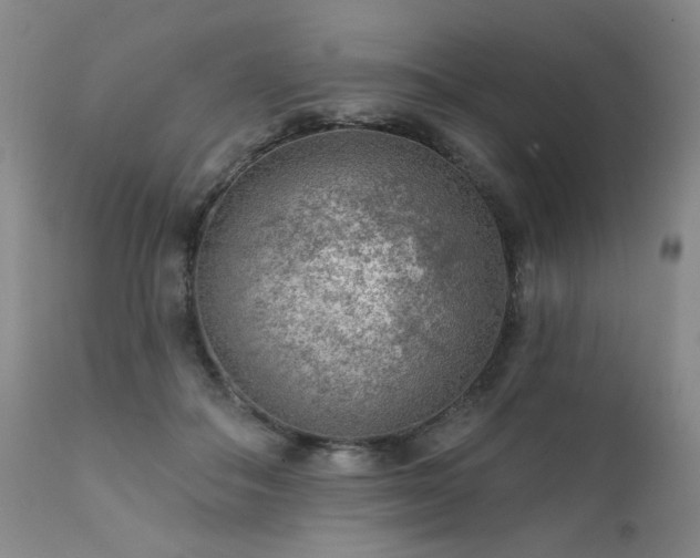 X0000111940506200907271416