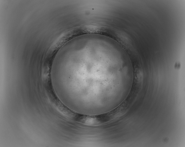 X0000111940507200907271416