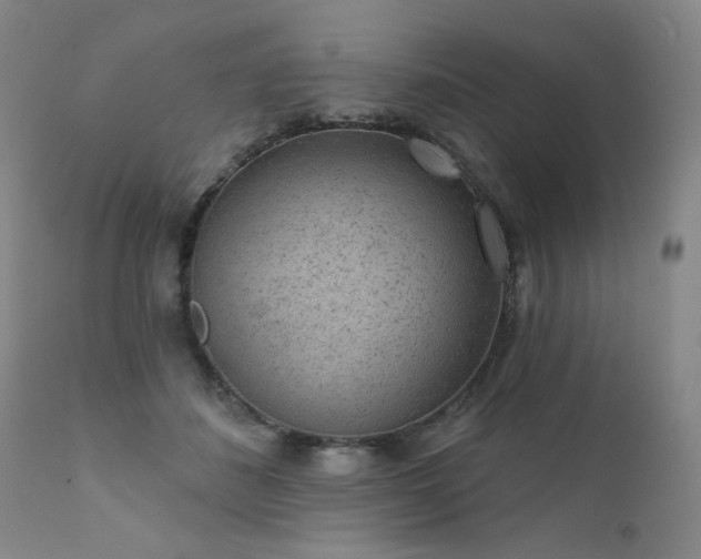 X0000111940508200907271416