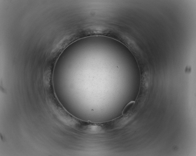 X0000111940509200907271416